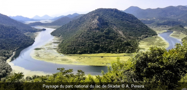 Paysage du parc national du lac de Skadar A. Pereira